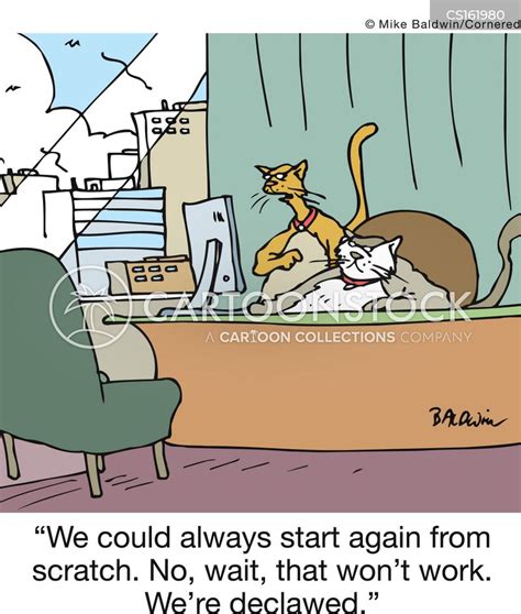 Back Up Plan Cartoons and Comics .